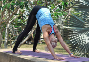Adha Mukha Svanasana, head/downward facing dog pose