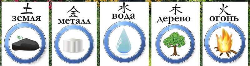 Five elements in Qigong