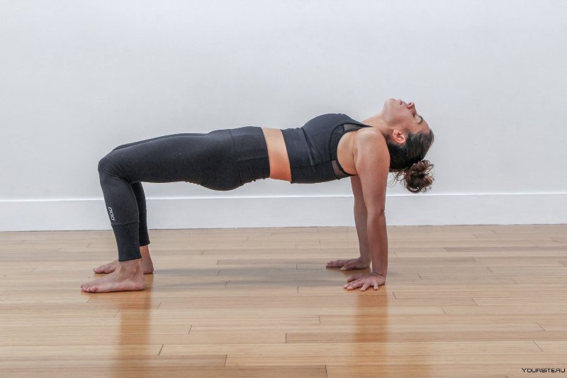 yoga for back and spine