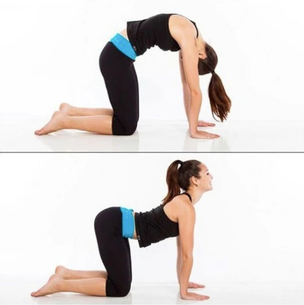yoga for back and spine