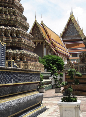 yoga hub club - Випассана 7 дней