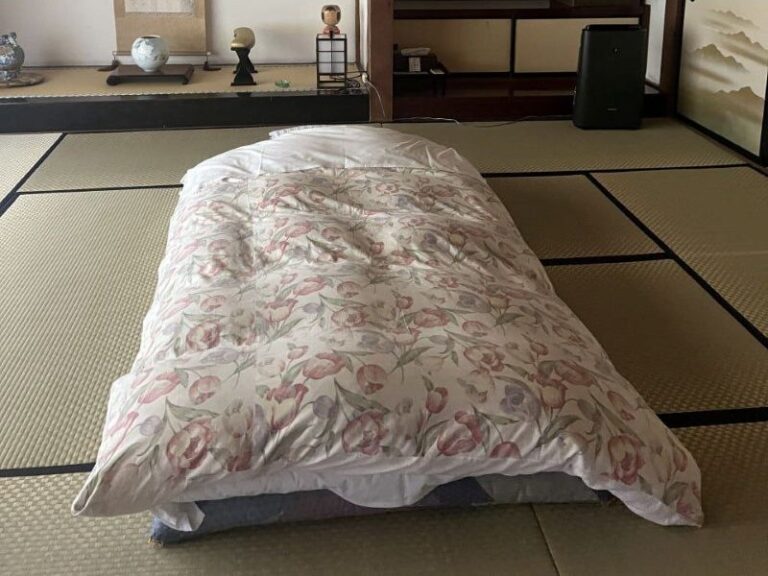 Проживание в Японии 3