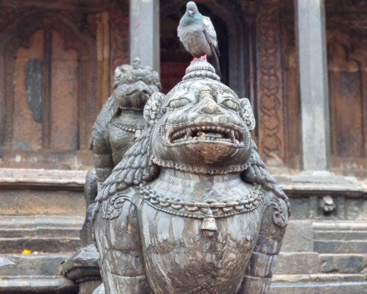 Фото наших туров 12