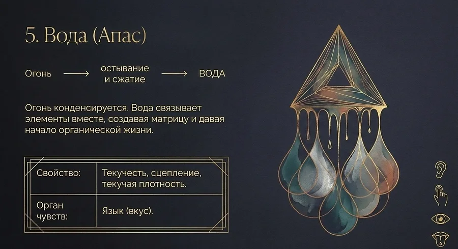 Этапы смерти Вода