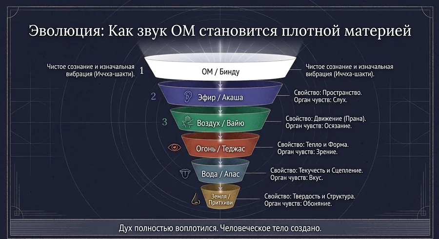 Эволюция ОМ