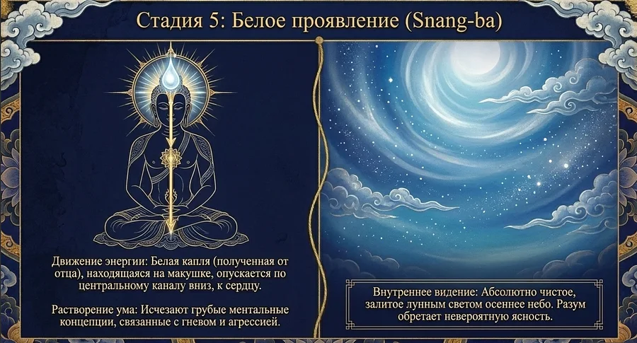 Стадия Белое проявление