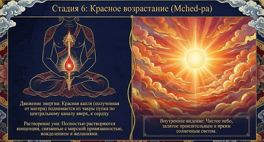 Стадия Красное возрастание